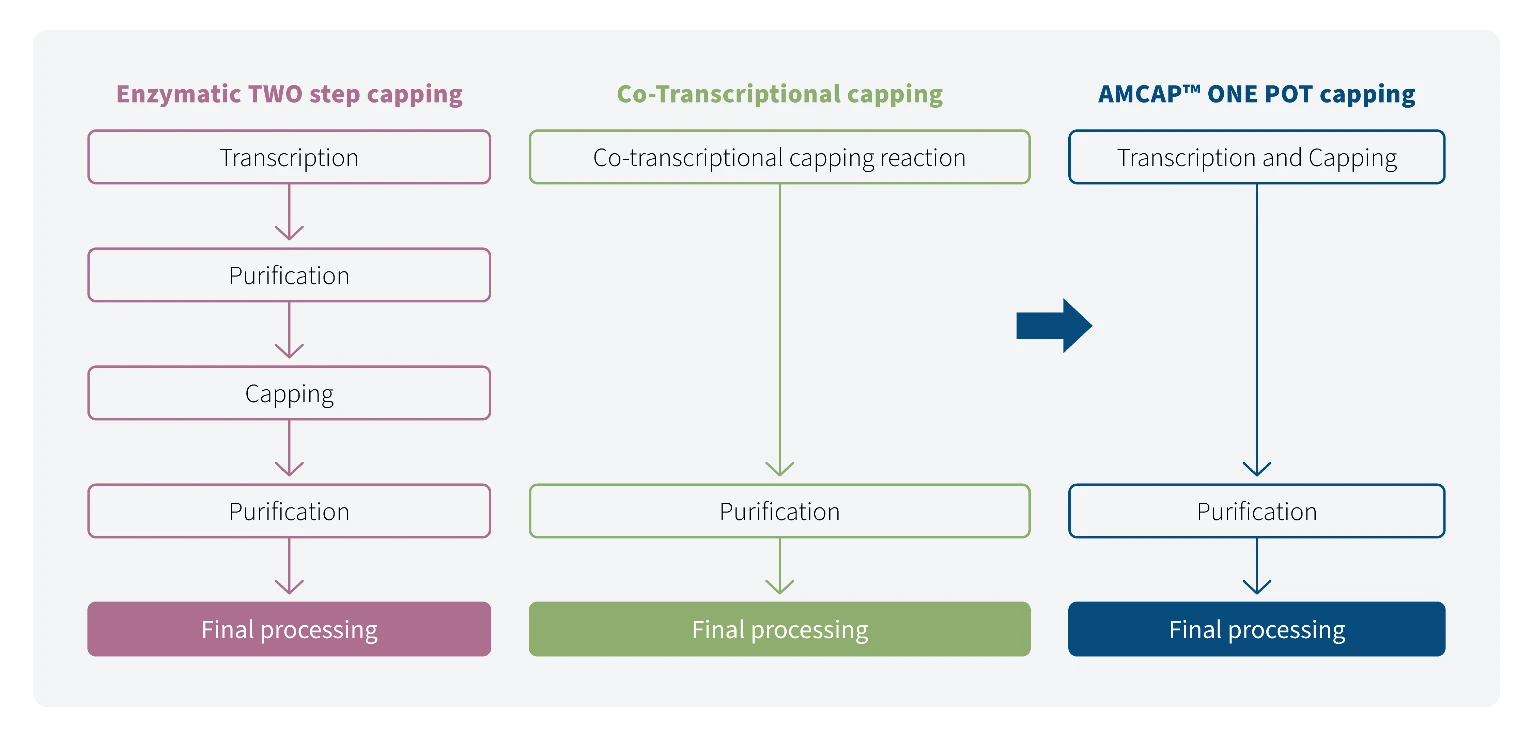 Figure 1. Schematic representation the AMCAP™ one-pot capping technology compared to commonly used co-transcriptional capping workflows or post-transcriptional enzymatic capping approaches.