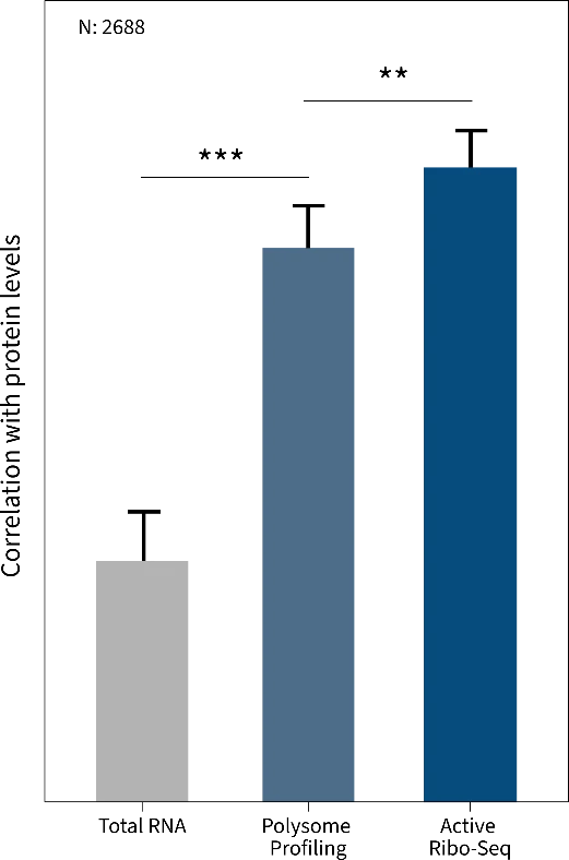 Figure 1 Correlation between protein levels in MCF7 cells and total RNA, polysomal RNA and Active Ribo-seq, respectively (**p < 0.01. ***p<0.001). Adapted from Clamer et al. (2018).