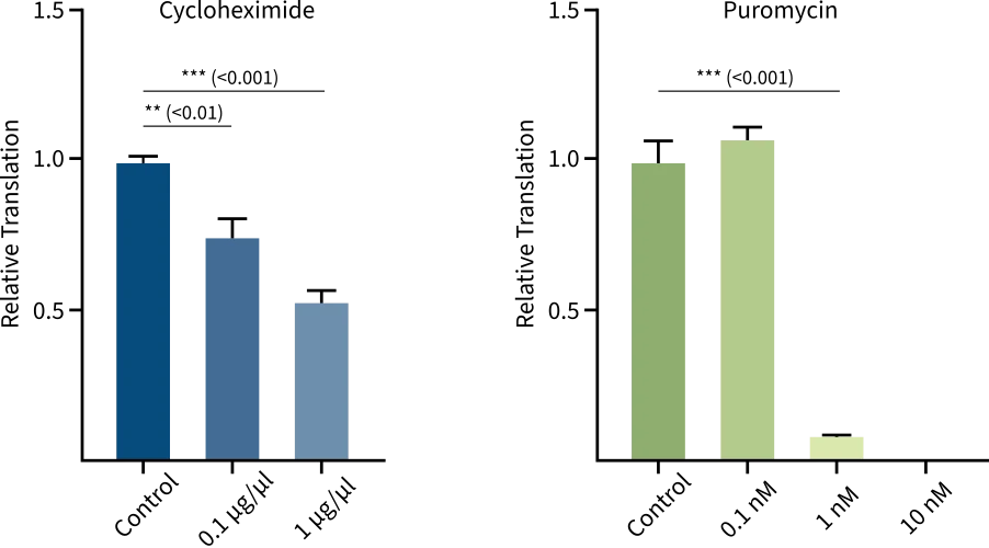 Figure 2 Protein synthesis after addition of different amount of cycloheximide (left) and puromycin (right), two translation inhibitors. Data source: Immagina Biotech.