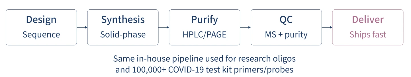 Figure 3 The oligonucleotide production workflow, from sequence design through synthesis, purification, and quality control to delivery — the same pipeline used for both research oligos and high-throu