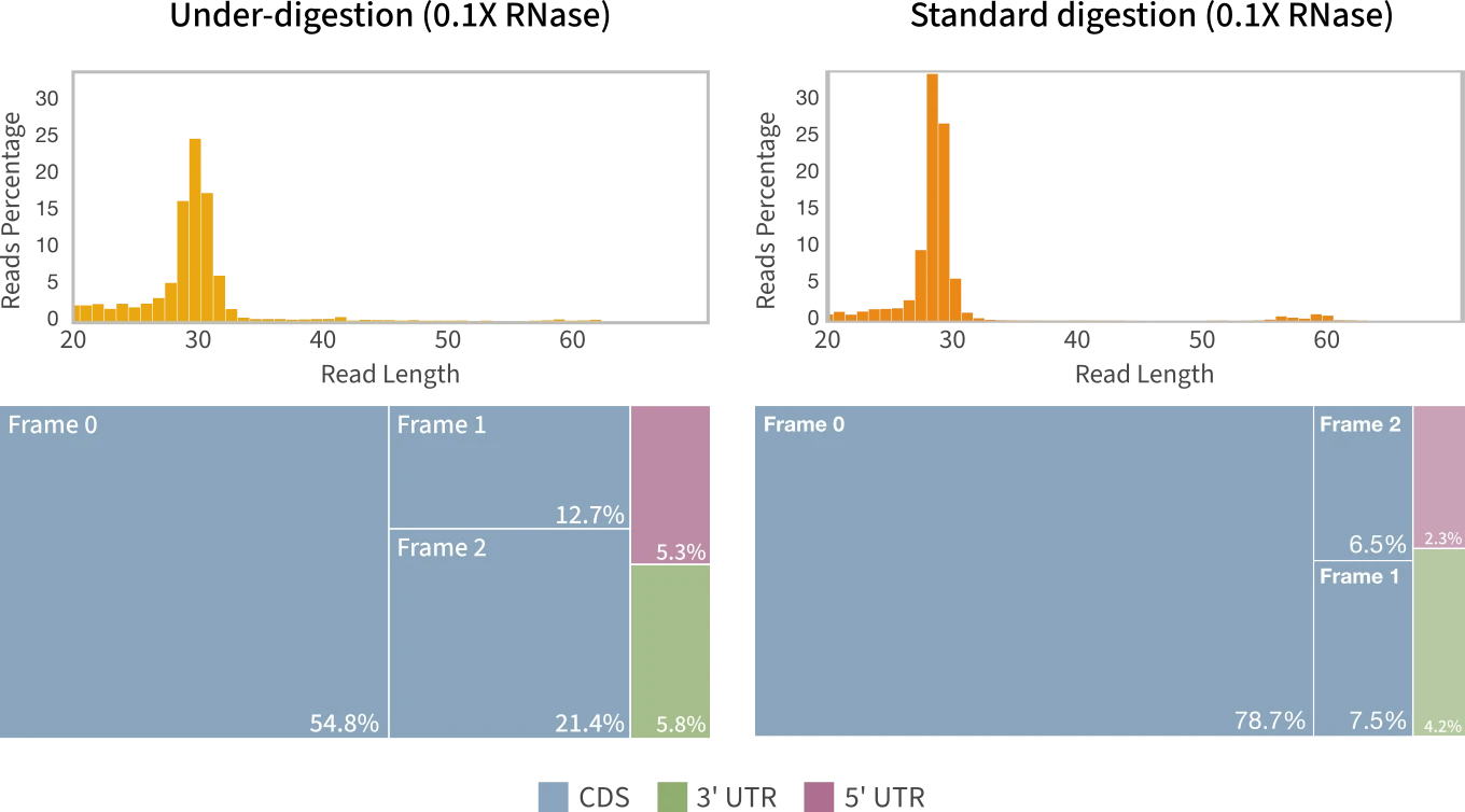 Figure 3 Distribution of read length in liver tissue samples digested with 0.1X RNase (top left) and 1X RNase (top right). Nuclease amounts based on Immagina Biotechnology’s RiboLace™ protocol. Standa
