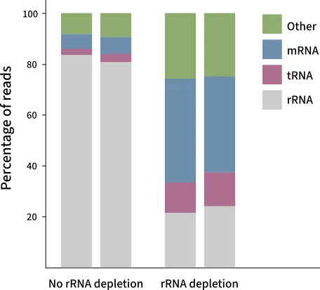 Figure 5 Percentages of reads mapping to different RNA categories in samples of HEK293 cells that underwent no ribodepletion (left) or ribodepletion with siTOOLs Biotech riboPOOLs (right). Data source